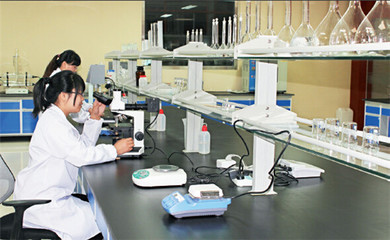 英科醫(yī)療再獲麥克森大獎(jiǎng)，引領(lǐng)醫(yī)療器械互聯(lián)網(wǎng)信息服務(wù)新篇章